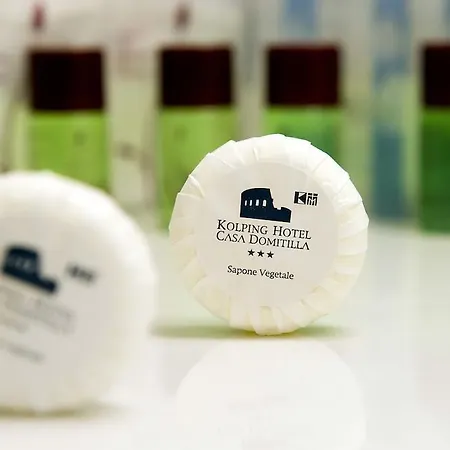 호텔 Kolping Casa Domitilla 3*